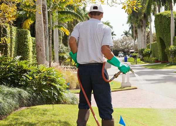 About Graniteville SC Pest Control Pros